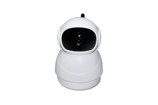 IPC-202PT Snowman Wireless WIFI Pan& Tilt ip camera