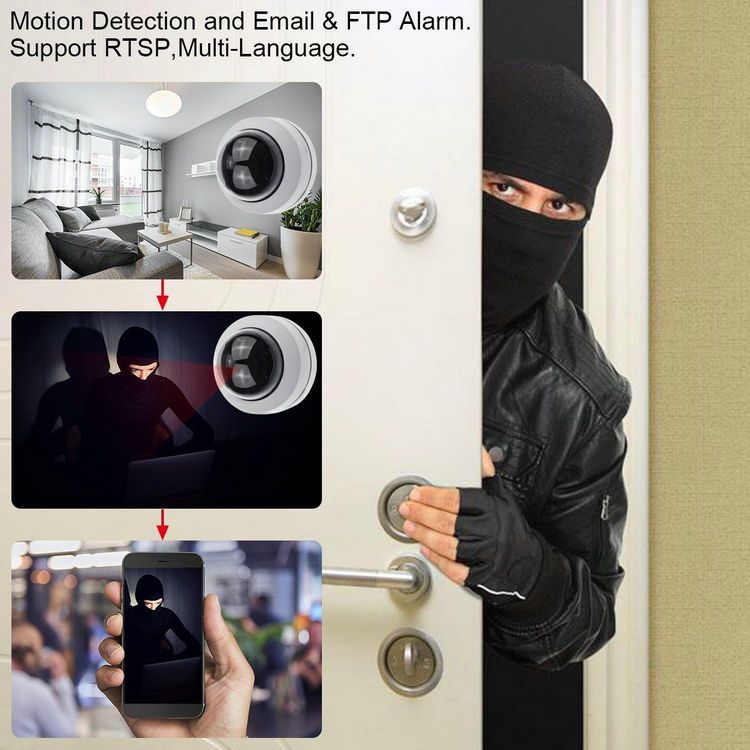 IP Dome PTZ camera IPC-PTZ1008LX Burglar alarm